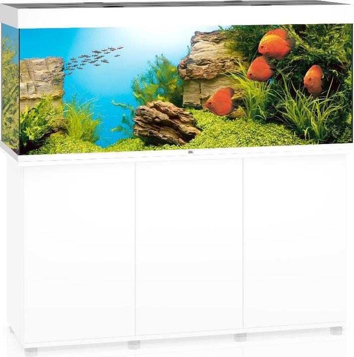 Image du produit Juwel Aquarium Rio (450 l)