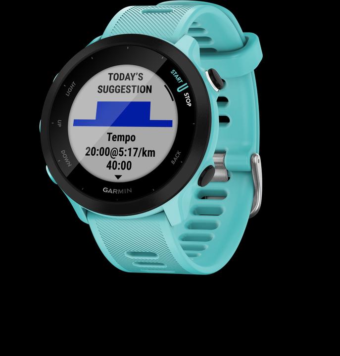 Garmin Forerunner 55 (42 mm)