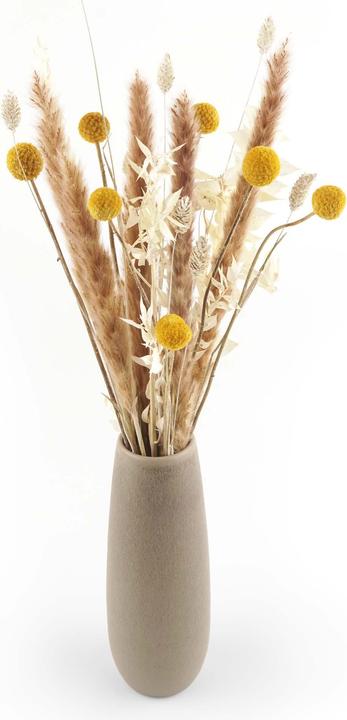 Immagine prodotto Geschenkkörbe CH Bouquet di fiori secchi "Craspedia (Fiori secchi)