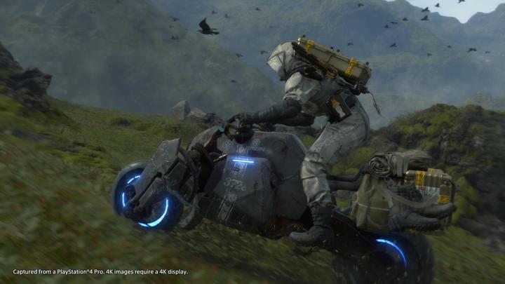 Actual product image Sony Death Stranding (Nordic Version) (PS4, EN)