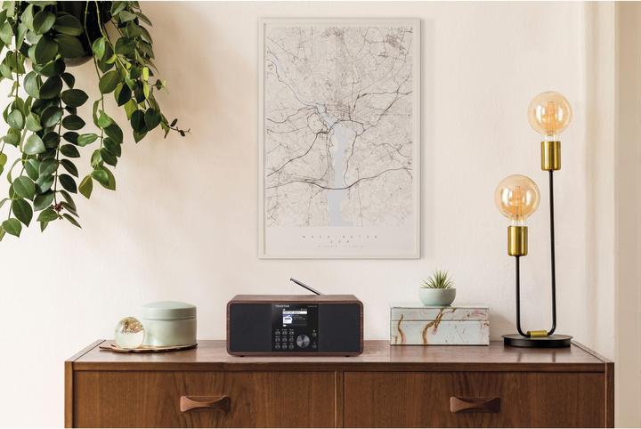 Produktbild Telestar Dira S24i (DAB+, Internetradio, FM, UKW, Bluetooth, WLAN)