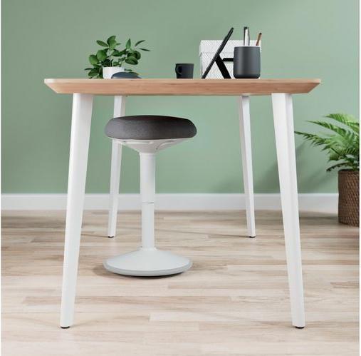 Produktbild Leitz Ergo Active