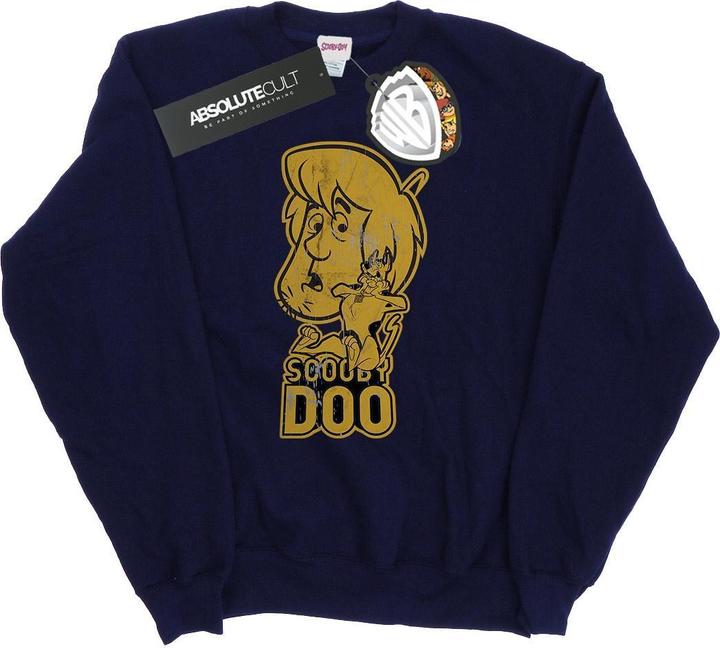 Actual product image Scooby Doo Mens And Shaggy Sweatshirt (S)