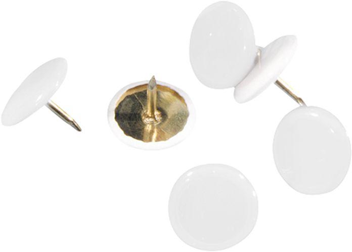 Image du produit Alco Ongles arrachés avec tête en celluloïd (100 pièce(s), 20 mm)