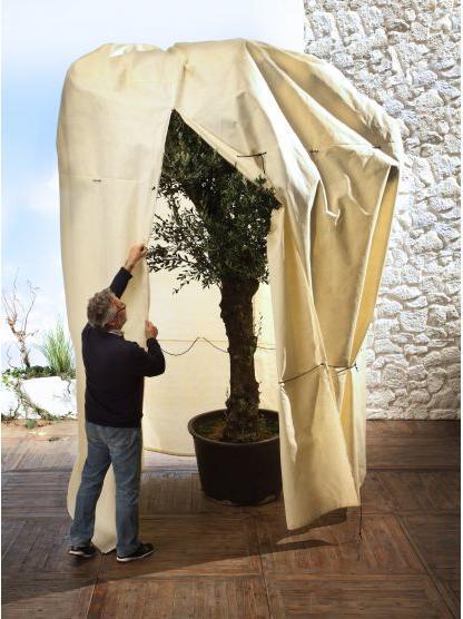 Produktbild Bio Green Mammut