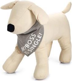 Actual product image Beeztees Bandana Single Boss (M, Dog coat)
