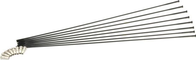 Immagine prodotto Fulcrum Red Power SL