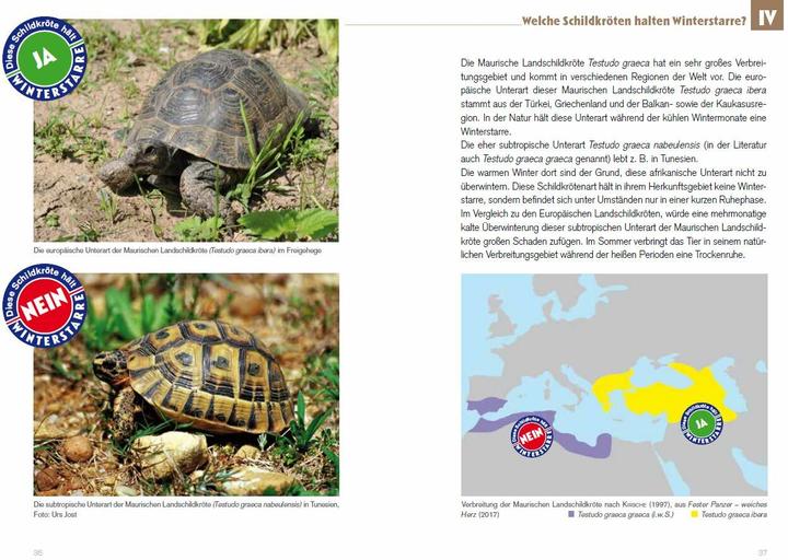 Image du produit Winterstarre bei Europäischen Landschildkröten (Allemand, Thorsten Geier, 2017)
