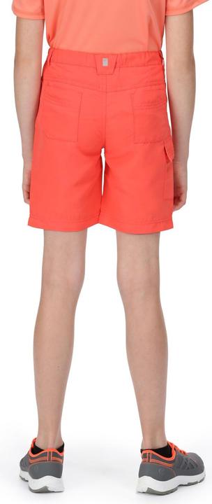 Produktbild Regatta Sorcer II Shorts (164)