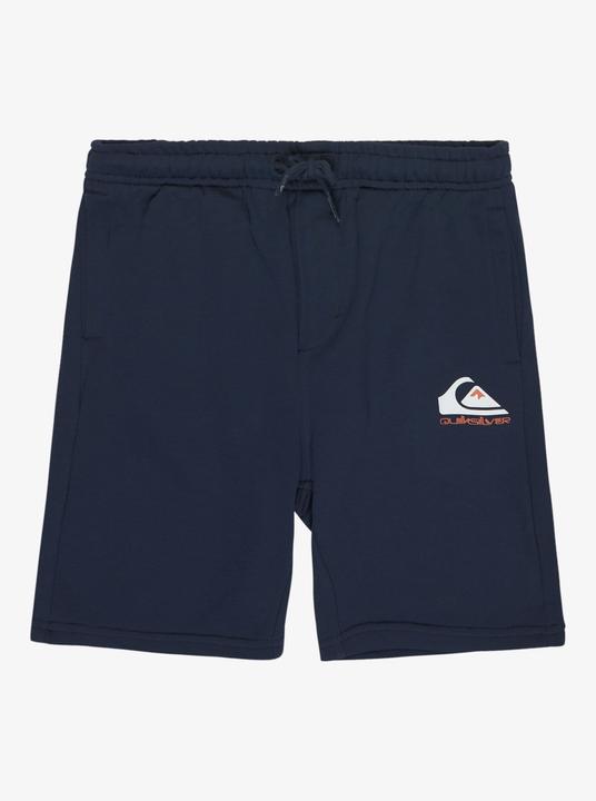 Actual product image Quiksilver Kid's Easy Day Jogger Short (14)