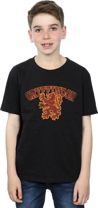 Actual product image Boys Gryffindor Sport Emblem T-Shirt (116)