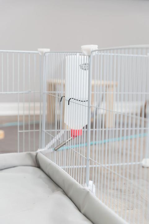 Actual product image Trixie Outdoor enclosure Indoor - Extension elements, 35x35cm, 4pcs.