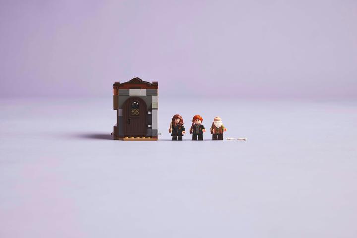 Immagine prodotto LEGO Schloss Hogwarts: Zauberkunstunterricht (76442, LEGO Harry Potter)