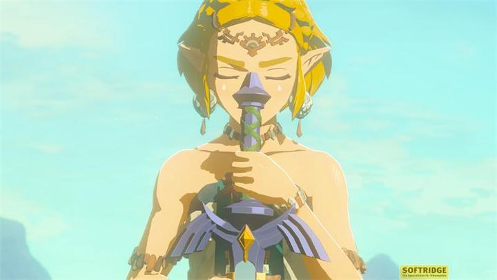 Produktbild Nintendo The Legend of Zelda: Tears of the Kingdom Collector's Edition (Switch, Multilingual)