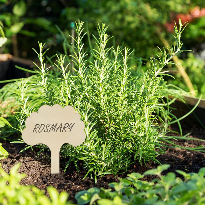 Image du produit Relaxdays 100x fiches pour plantes (20 cm, 6 cm)