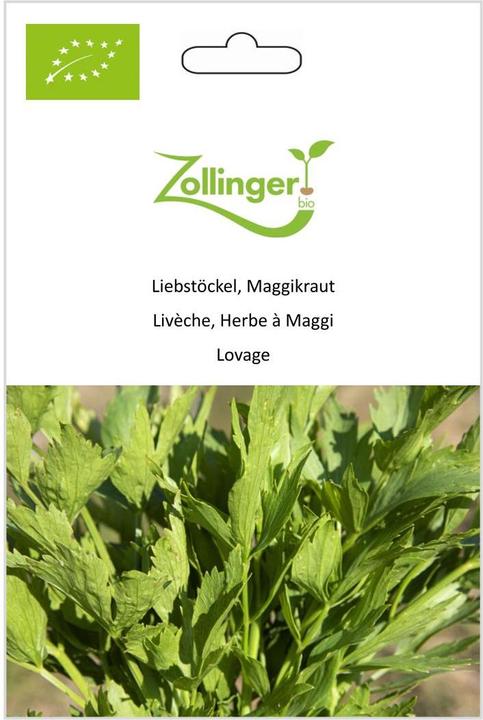 Immagine prodotto Zollinger Bio Levistico, erba Maggi (Germogli)