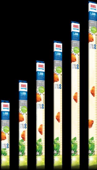 Image du produit Juwel Aquarium LED Nature (LED, 23 W)