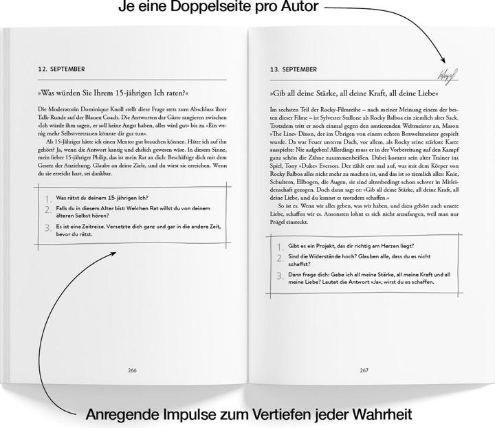 Actual product image Next Level Jeden Tag einen Schritt (German, Kiarash Hossainpour, Philip Hopf, 2024)
