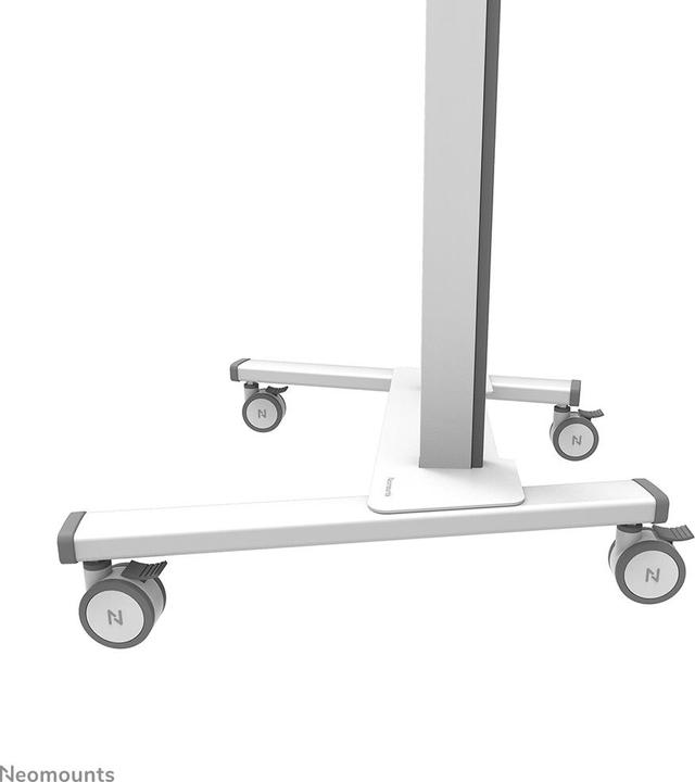 Actual product image Neomounts FL55-875WH1 (Universal, 100", 110 kg)