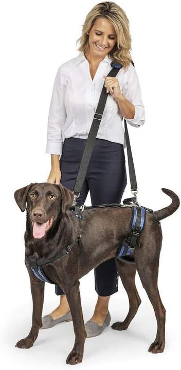 Produktbild PetSafe Ganzkörper-Hundegeschirr (L, Hund, Allgemein, Spazieren)