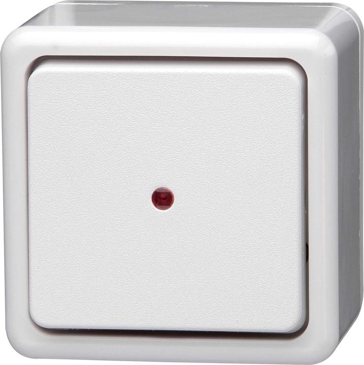 Actual product image Kopp Control switch, changeover switch