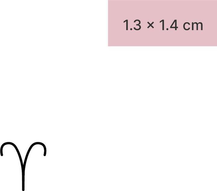 Actual product image minink Temporary tattoo - zodiac sign Aries