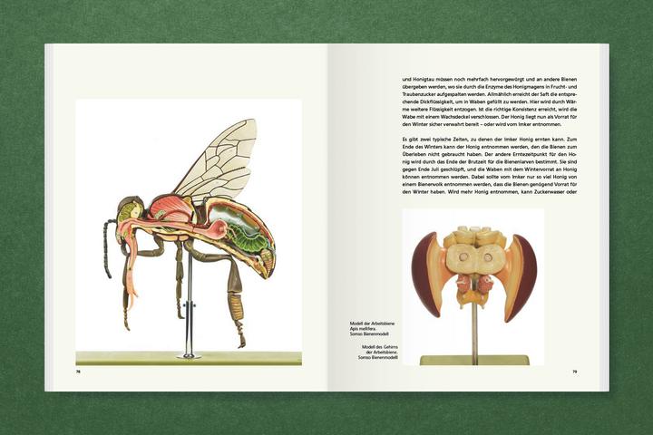 Produktbild Honig für Kunst &amp Gesellschaft (Deutsch, Joseph Beuys, Felix Droese, Hartmut Kraft, Hede Buhl, 2024)