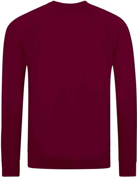 Image du produit Awdis - Sweat ACADEMY - Enfant (M)