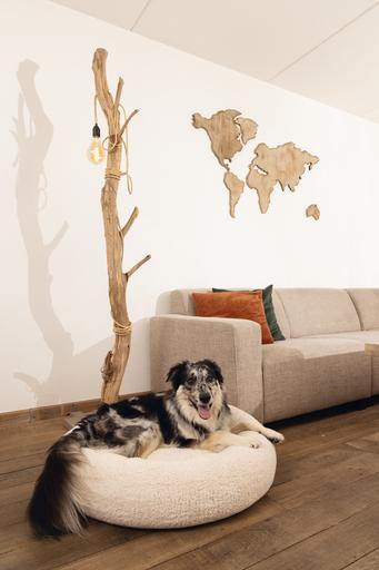 Produktbild Beeztees Memory Foam Liegebett Jaxx (Hund)