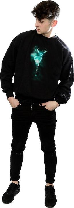 Image du produit Sweat-shirt Patronus Mist (XL)
