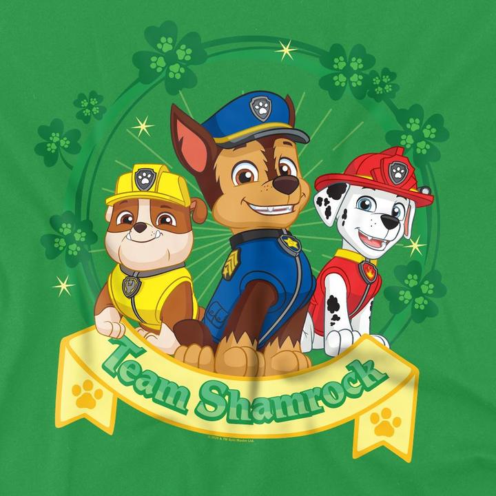Actual product image Paw Patrol Mens Shamrock St Patricks Day T-Shirt (XL)