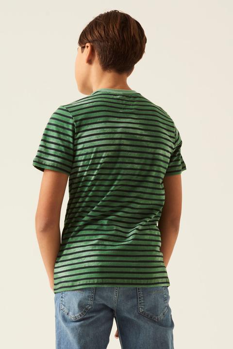 Actual product image Garcia Green Striped T Shirt (164)