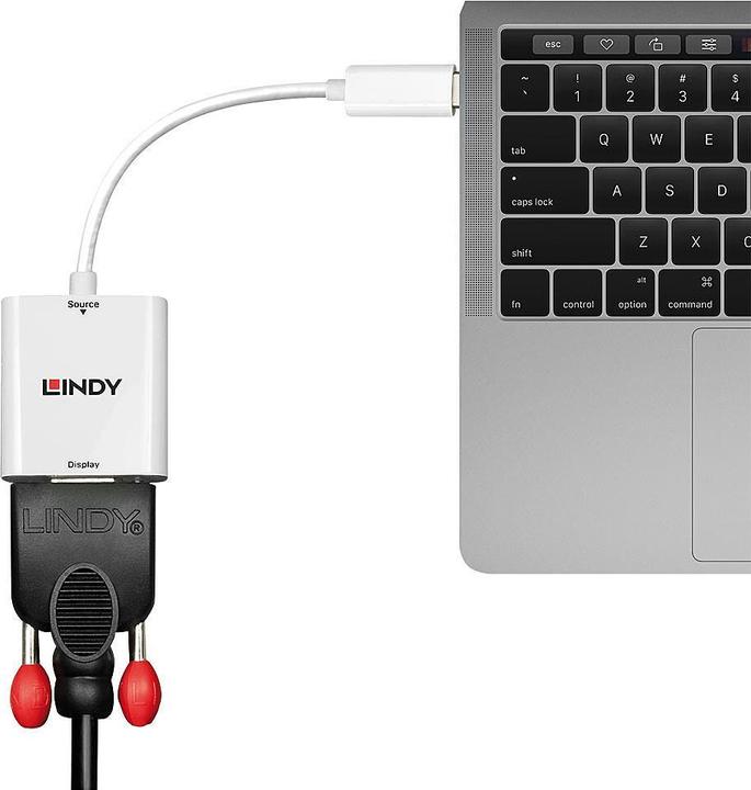 Immagine prodotto Lindy Convertitore da USB Tipo C a VGA (USB-C, 11 cm)