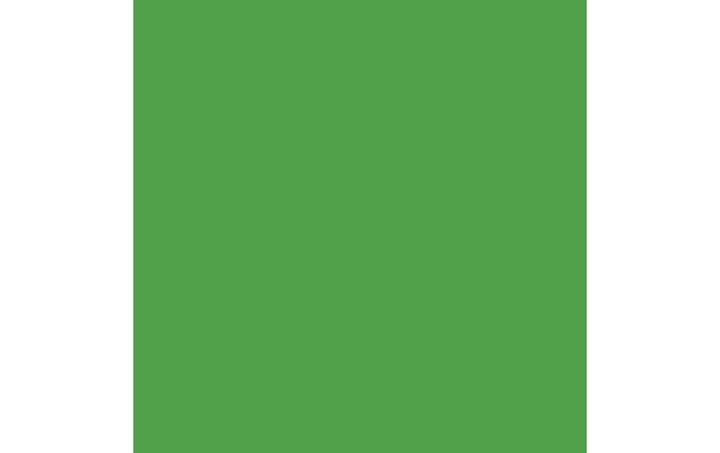 Image du produit Amsterdam Série standard de peintures acryliques (Vert brillant, 120 ml)