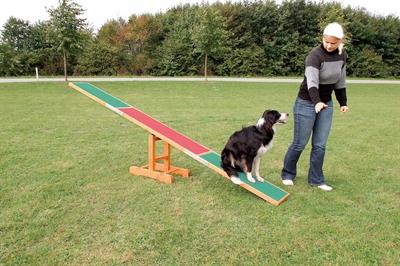 Image du produit Trixie Agility