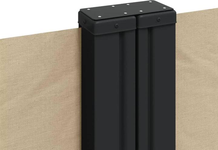 Actual product image VidaXL Extendable side awning (10 m)