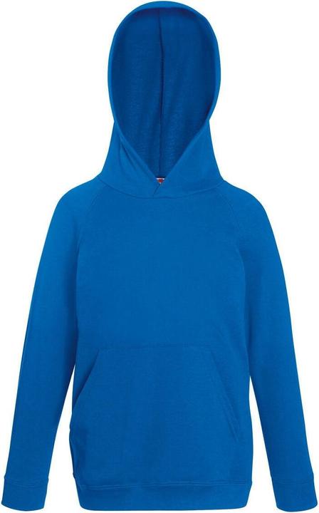 Image du produit Fruit of the Loom Pull à capuche (152)