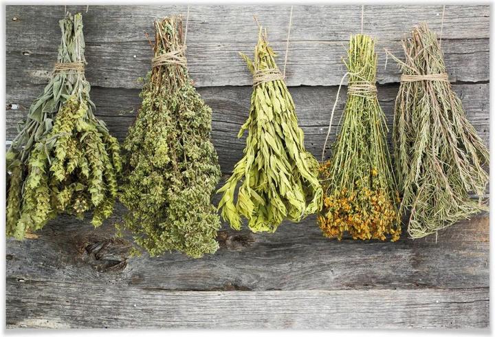Image du produit Trenddeko Herbes séchées (30 x 24 cm)