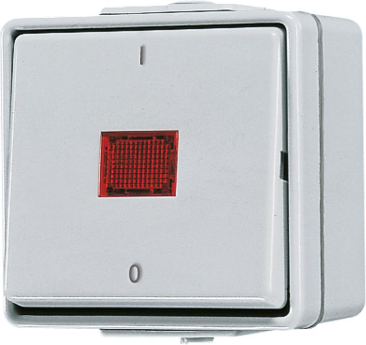 Actual product image JUNG Rocker control switch