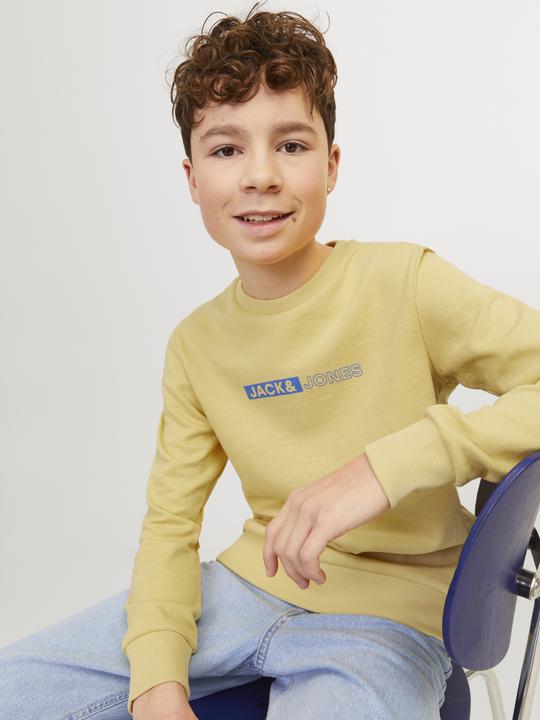 Produktbild Jack & Jones Gedruckt Sweatshirt mit Rundhals Für jungs Sweatshirt mit Rundhals (140)