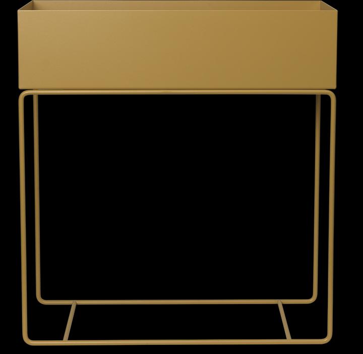 Cannuccia