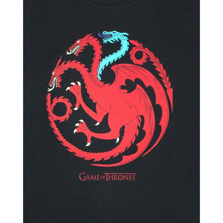Produktbild Game of Thrones Ice And Fire Dragons TShirt (S)
