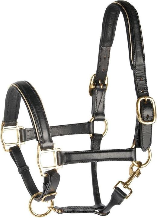 Actual product image Harry's Horse Leather horse halter with piping