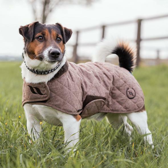 Produktbild Back on Track hundemantel haze collection 58 (Hundemantel)
