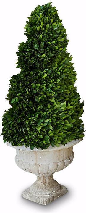 Produktbild Loberon Deko-Baum Humbria grün/creme (75 cm)
