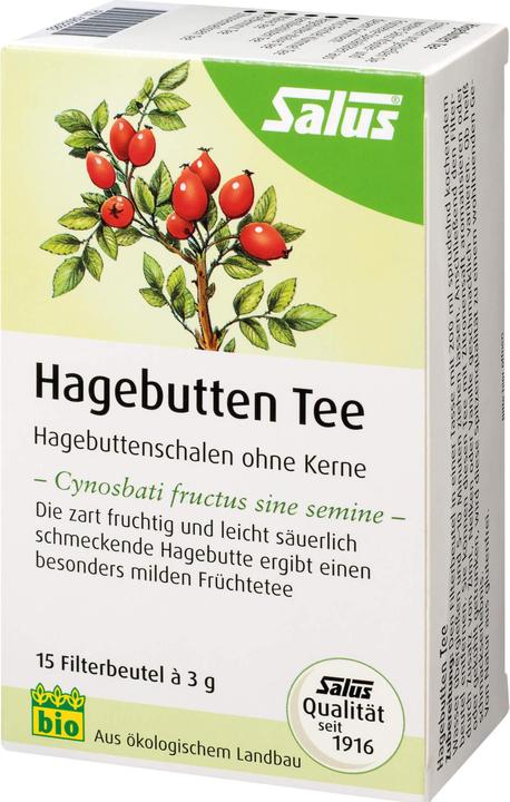 Actual product image Salus Rosehip Fruit Tea, 15 pcs. Filter bag (45 g)