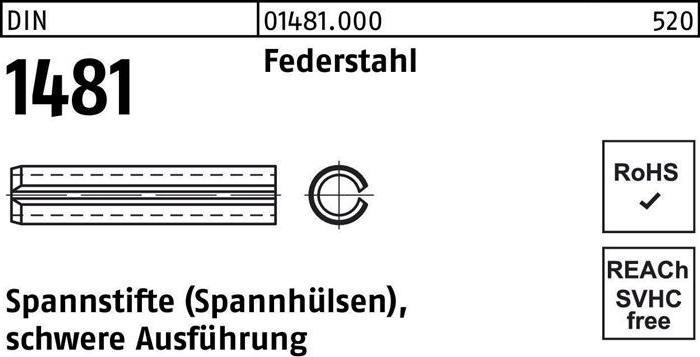 Image du produit DIN 1481/ISO 8752