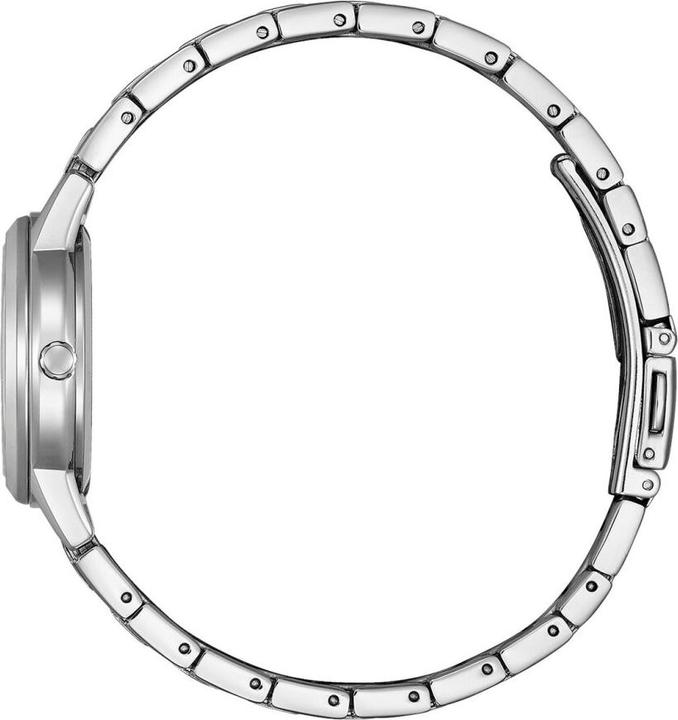 Immagine prodotto Citizen FE1241-71Z (Orologio da polso analogico)