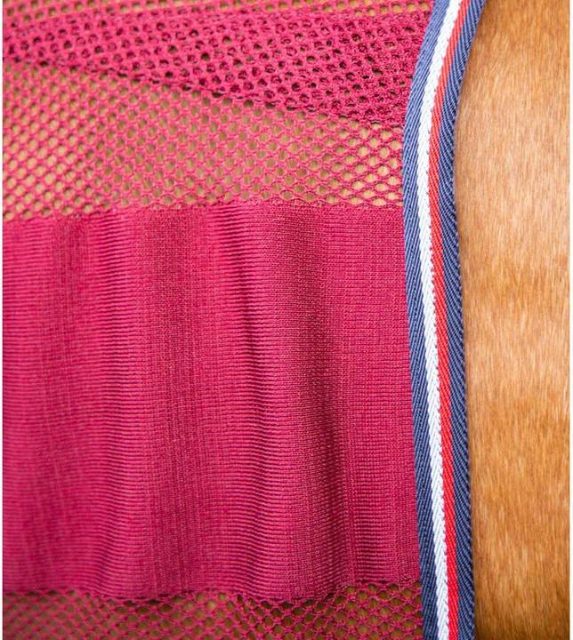 Actual product image Premier Equine Arisca Scrim (168 cm)
