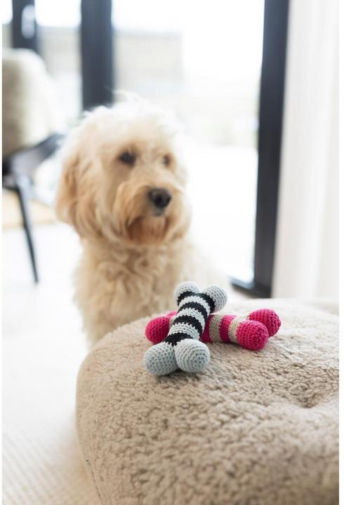Actual product image Creativ Company Craft kit crochet dog bone
